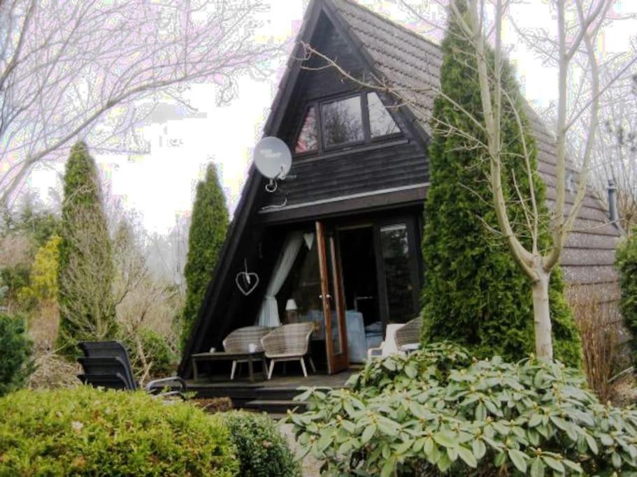 Nurdachhaus Mit Kaminofen Und Grossem Grundstueck Villa Fassberg Bagian luar foto